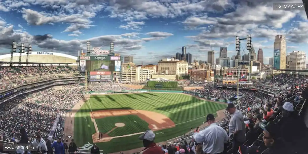 实时直播，身临其境！🎥